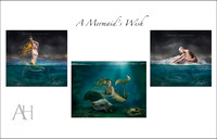 A Mermaids Wish.