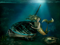 The Black Pearl Wreck