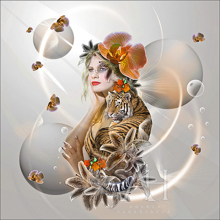 Tiger Lily 1