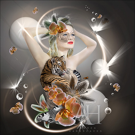 Tiger Lily III.