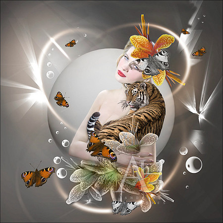 Tiger Lily IV.