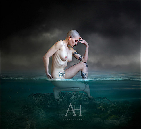 Emotive Metamorphosis (27)