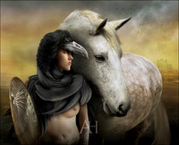 The Black Raven (28)