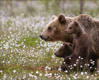 S56A0240 copy