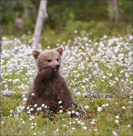 S56A0377