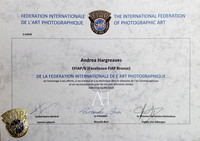 efiap bronze