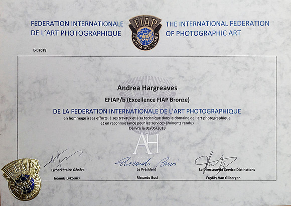 efiap bronze